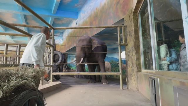 無綫新聞 TVB News