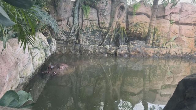 無綫新聞 TVB News