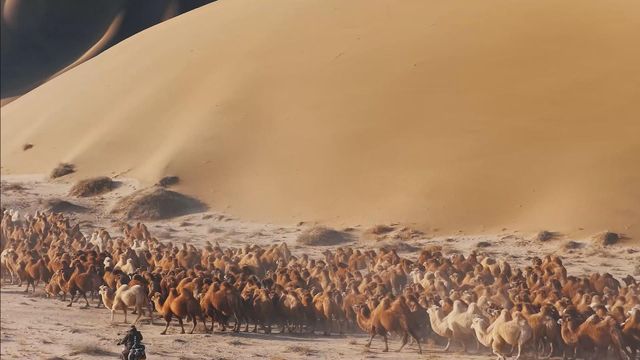 無綫新聞 TVB News