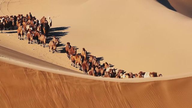 無綫新聞 TVB News