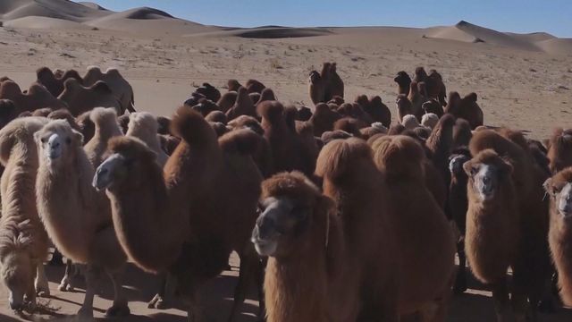 無綫新聞 TVB News