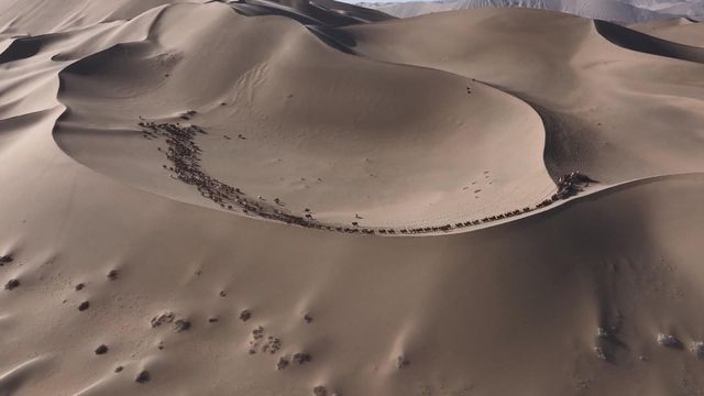 無綫新聞 TVB News