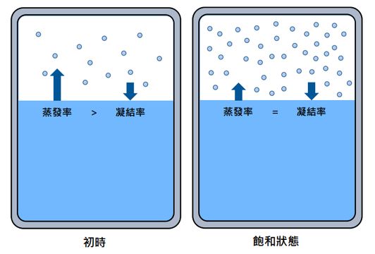 無綫新聞 TVB News