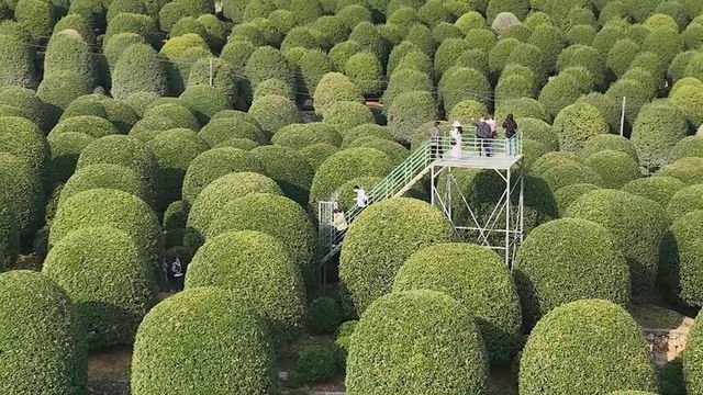 無綫新聞 TVB News