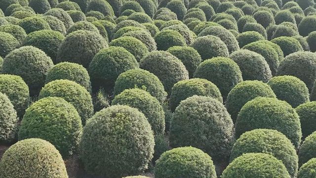 無綫新聞 TVB News