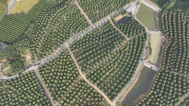 無綫新聞 TVB News