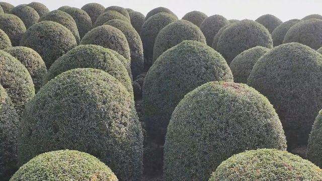 無綫新聞 TVB News