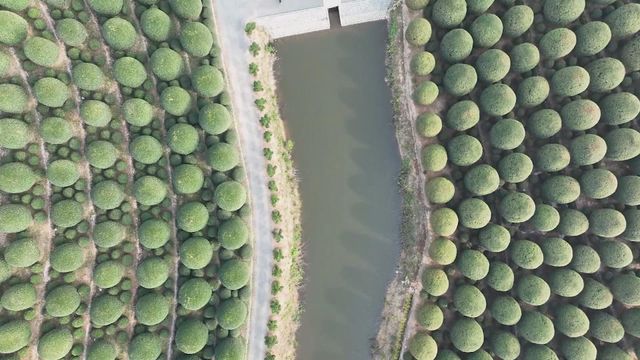 無綫新聞 TVB News