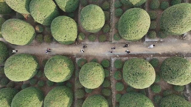 無綫新聞 TVB News