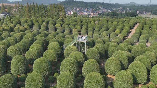 無綫新聞 TVB News