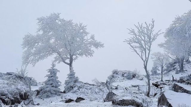 無綫新聞 TVB News