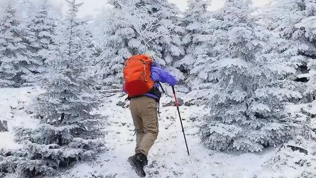 無綫新聞 TVB News