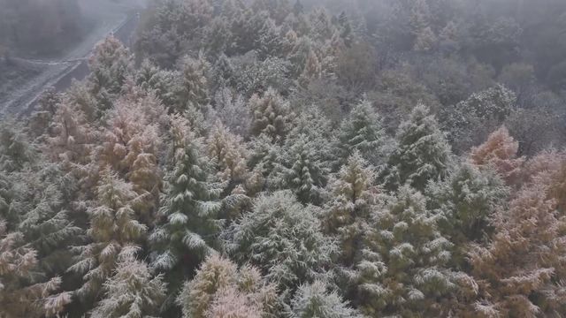 無綫新聞 TVB News