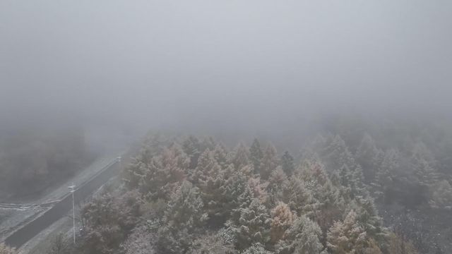 無綫新聞 TVB News