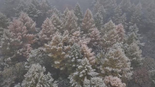 無綫新聞 TVB News