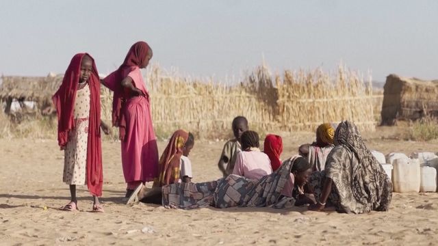 Sudan's RSF rebels announce ceasefire