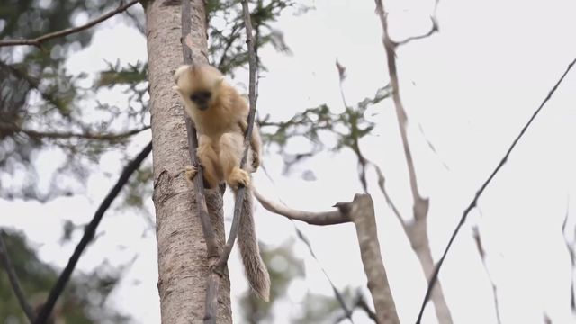 無綫新聞 TVB News