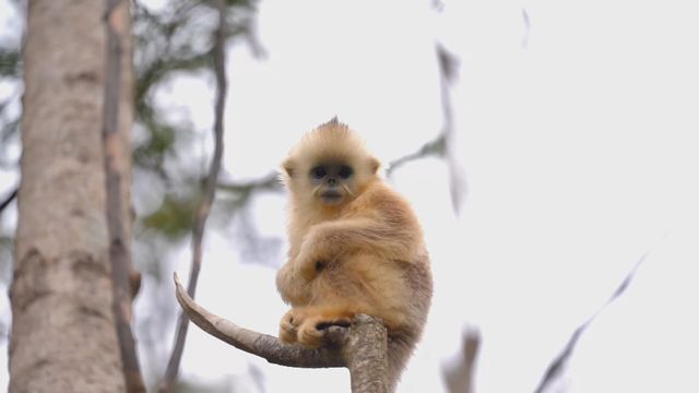 無綫新聞 TVB News