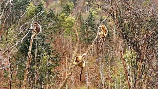 無綫新聞 TVB News