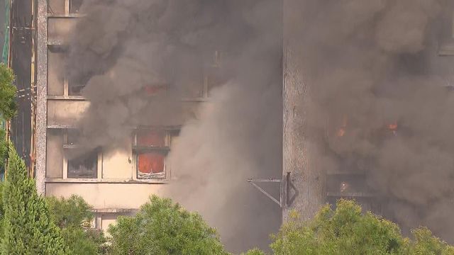 無綫新聞 TVB News