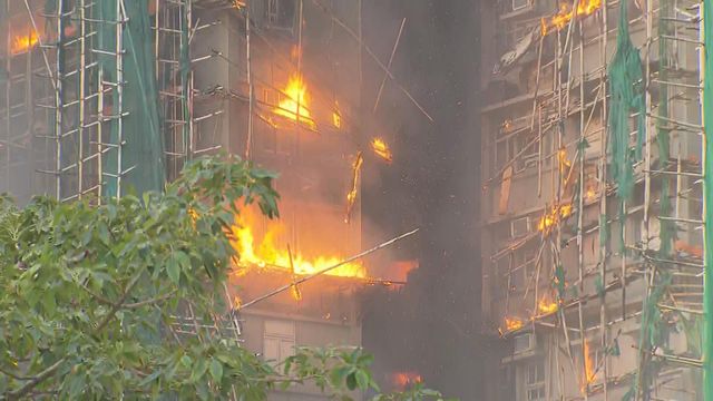 無綫新聞 TVB News