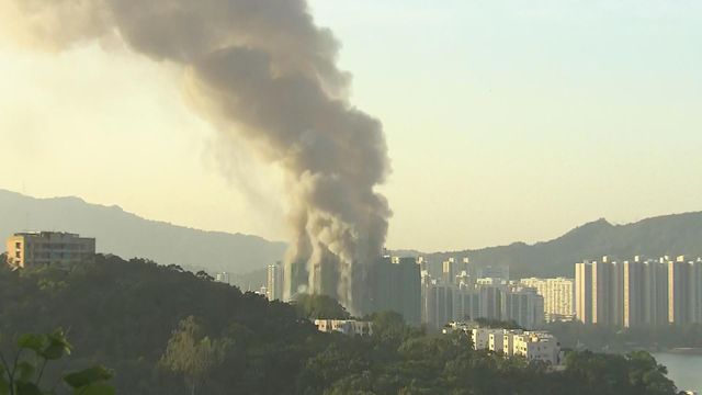 無綫新聞 TVB News