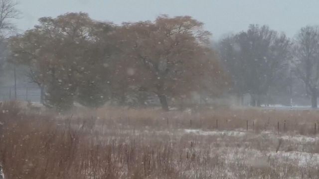 無綫新聞 TVB News