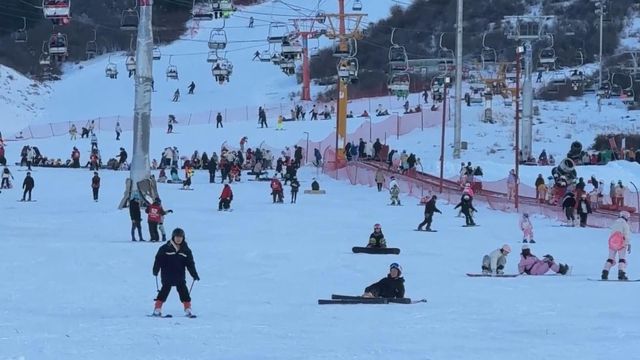 無綫新聞 TVB News