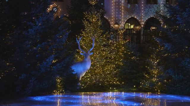 無綫新聞 TVB News