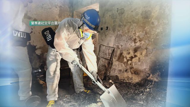 無綫新聞 TVB News