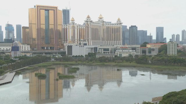 澳門11月博彩收入210億澳門元　按年升一成四