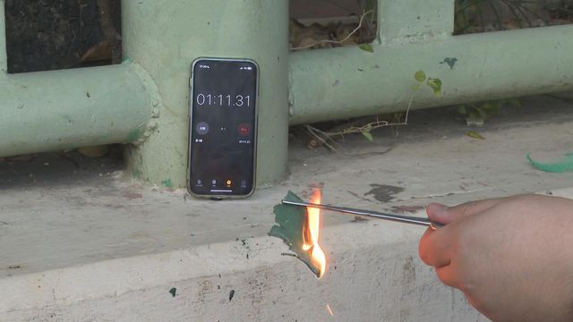 無綫新聞 TVB News