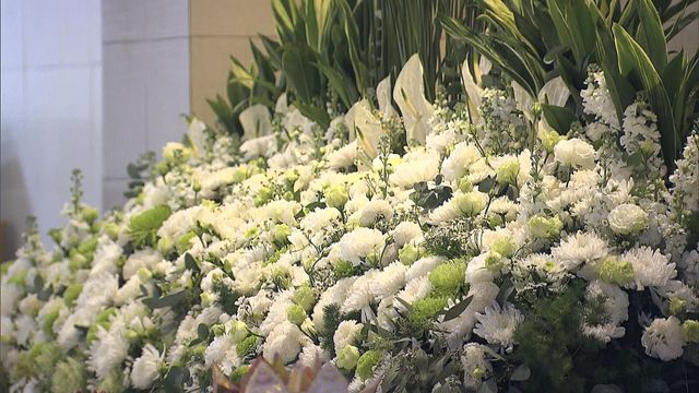 延伸閱讀｜白菊寄哀思