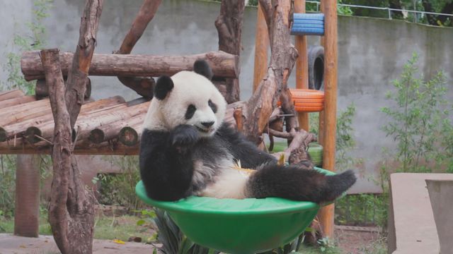 無綫新聞 TVB News