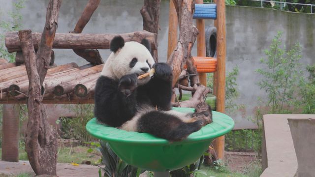 無綫新聞 TVB News