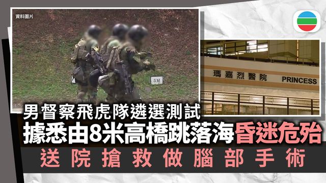 據悉男督察進行飛虎隊遴選測試　由約8米高橋跳落海後昏迷危殆