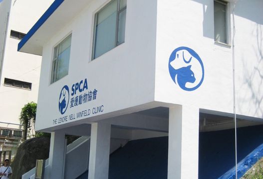 愛護動物協會　領養絕育外還有甚麼服務？　即睇歷史｜延伸閱讀