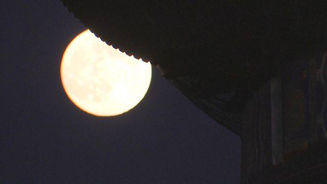 無綫新聞 TVB News