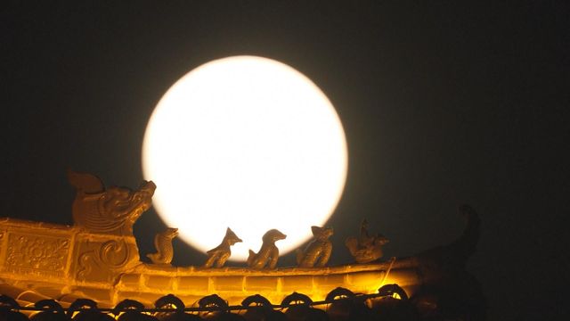 無綫新聞 TVB News