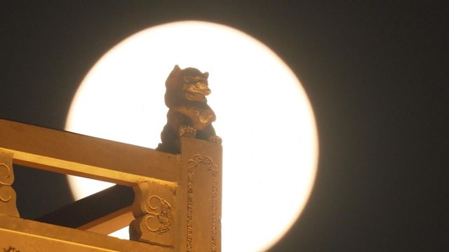 無綫新聞 TVB News