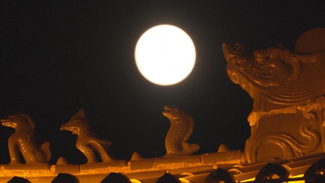 無綫新聞 TVB News