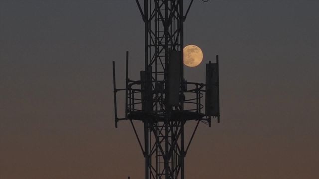 無綫新聞 TVB News