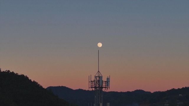 無綫新聞 TVB News