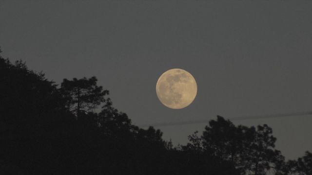 無綫新聞 TVB News