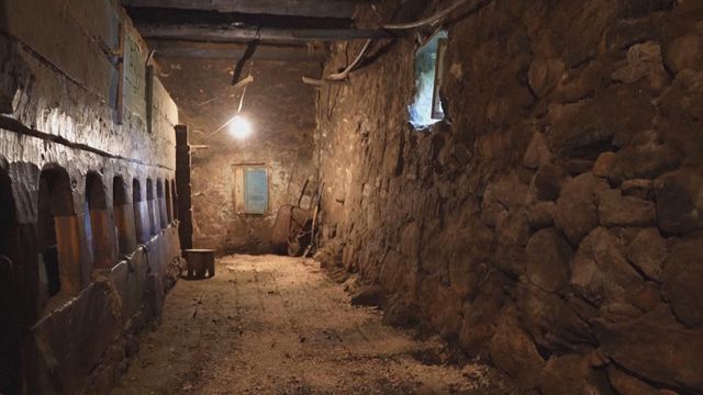 無綫新聞 TVB News