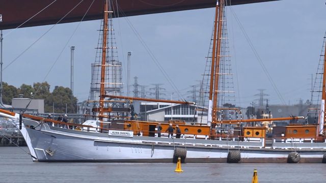 無綫新聞 TVB News