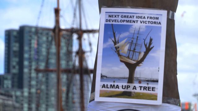 無綫新聞 TVB News