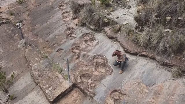 Largest accumulation of dinosaur footprints discovered in Bolivia Largest accumulation of dinosaur footprints discovered in Bolivia