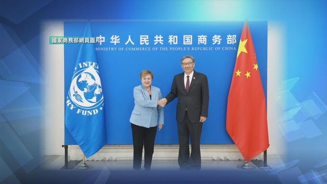 王文濤會見IMF總裁 就全球及中國經濟形勢交換意見 王文濤會見IMF總裁 就全球及中國經濟形勢交換意見