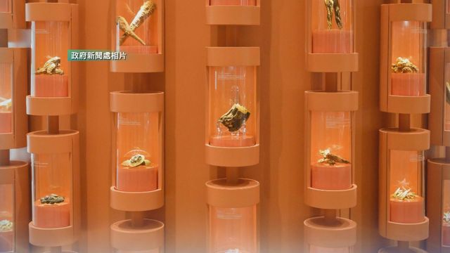 無綫新聞 TVB News